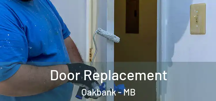  Door Replacement Oakbank - MB