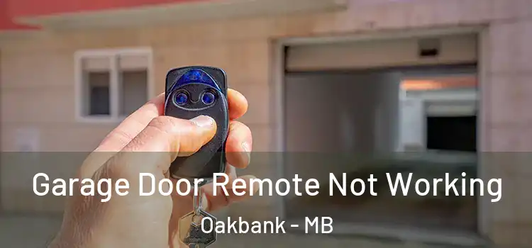  Garage Door Remote Not Working Oakbank - MB