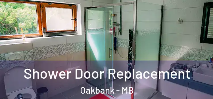 Shower Door Replacement Oakbank - MB