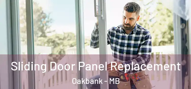  Sliding Door Panel Replacement Oakbank - MB